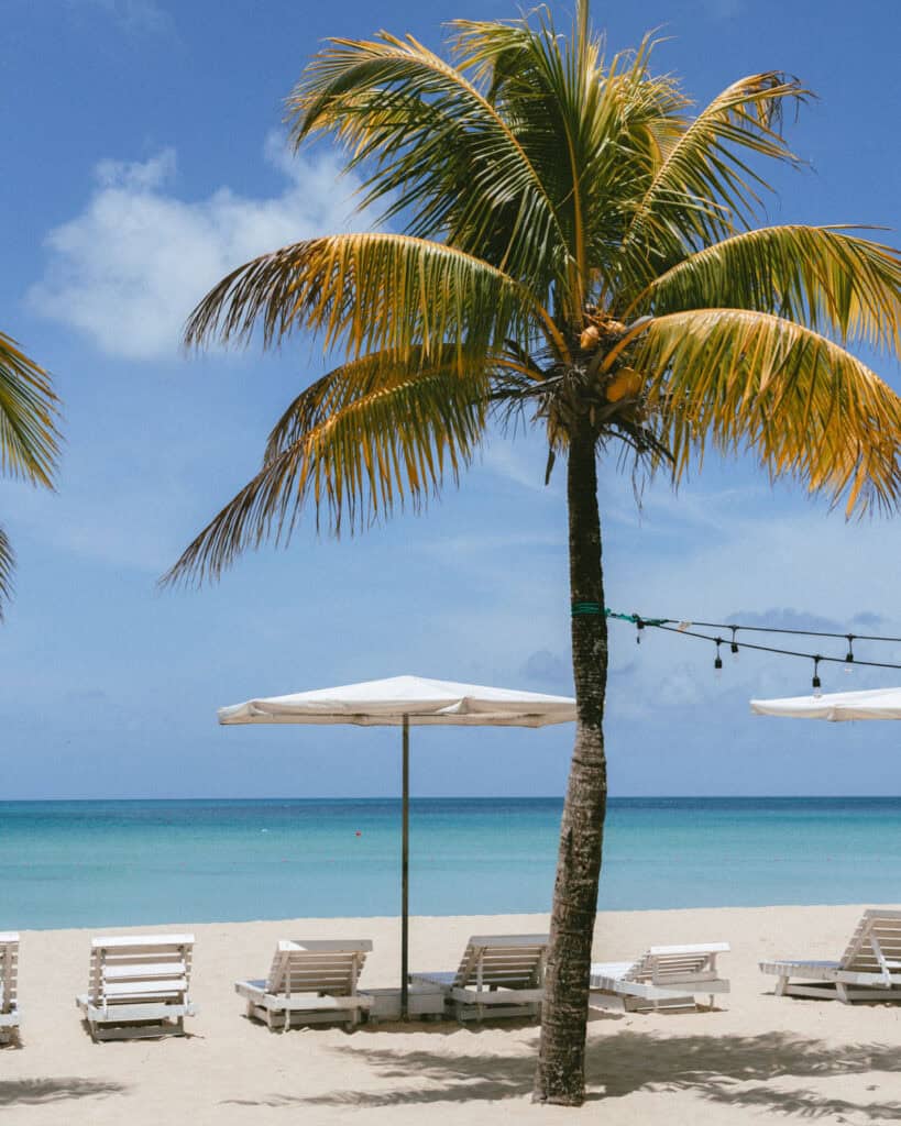Big Corn Island, Nicaragua: The Underrated Corn Island 6 A vibrant beach scene at Arenas Beach Club on Big Corn Island, Nicaragua, featuring a tall palm tree with hanging string lights, white lounge chairs, and a beach umbrella, all overlooking the turquoise sea.
