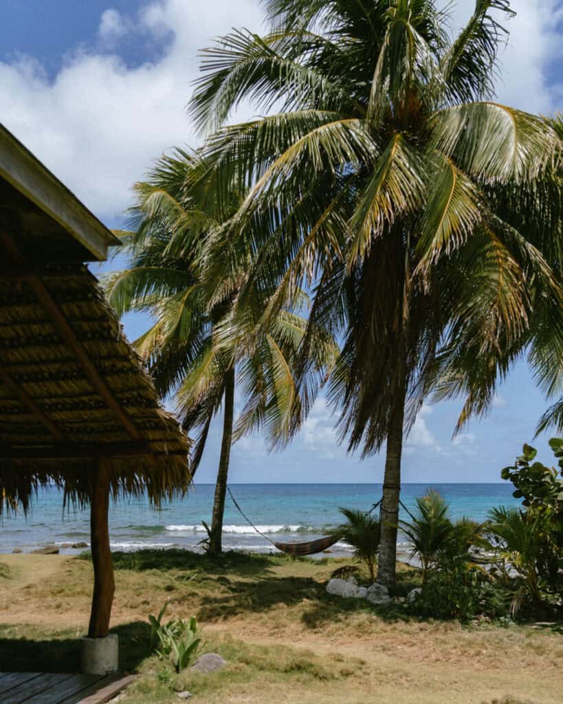 Big Corn Island, Nicaragua: The Underrated Corn Island 16 A cozy beachfront scene with a hammock strung between two palm trees near a thatched-roof hut, overlooking the ocean.