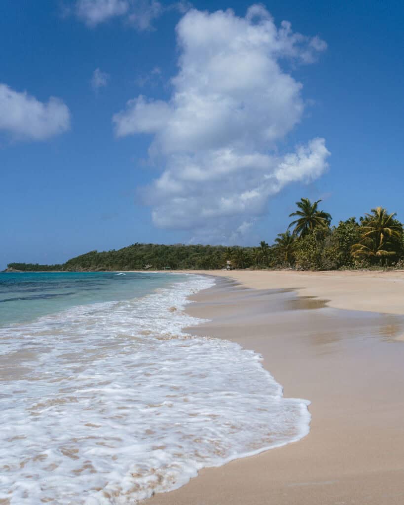 Big Corn Island, Nicaragua: The Underrated Corn Island 25 A wide view of Long Bay Beach with gentle waves washing up on the sandy shore, framed by palm trees and clear blue skies.