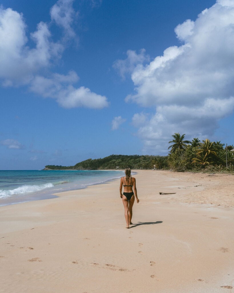 Corn Islands Nicaragua: Paradise on Big & Little Corn 16 Sally walks away from the camera along Long Bay Beach, surrounded by lush palm trees and the clear blue ocean of Big Corn Island, Nicaragua, under a bright blue sky.