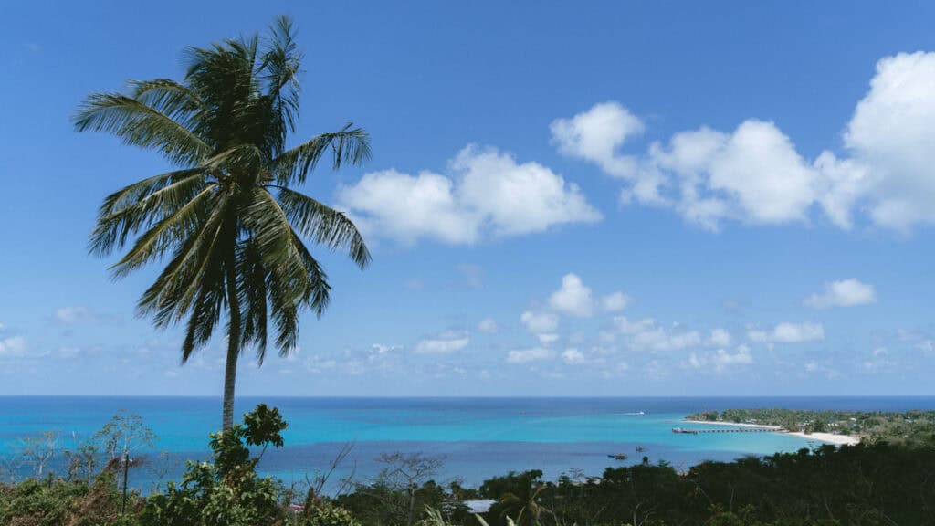 Big Corn Island, Nicaragua: The Underrated Corn Island 8 A picturesque landscape from Quinn Hill Mirador on Big Corn Island, featuring a solitary palm tree against a backdrop of ocean and sky.