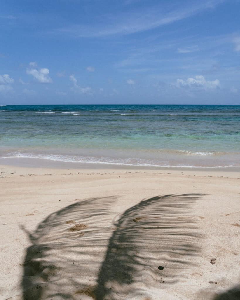 Big Corn Island, Nicaragua: The Underrated Corn Island 26 A scenic view of Silver Sand Beach on Big Corn Island, Nicaragua, with calm turquoise waters meeting the soft sandy shore, with palm fronds casting shadows on the sand.