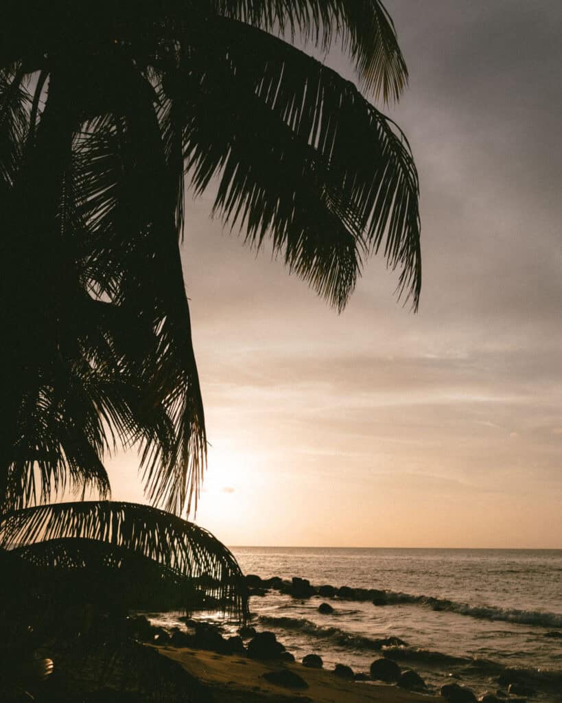 Big Corn Island, Nicaragua: The Underrated Corn Island 35 A stunning sunset on Big Corn Island, with silhouettes of palm fronds framing the golden hues of the sun setting over the ocean.
