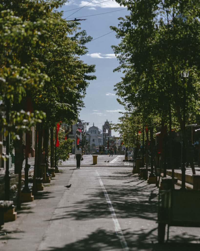 Leon, Nicaragua Travel Guide: The City of Revolution 13 A tree-lined view of Avenida Central in León, Nicaragua, leading to the cathedral in the distance, with people walking and pigeons scattered along the path.