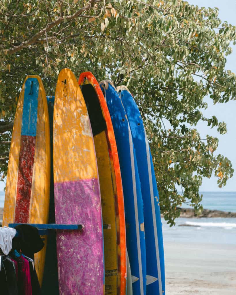Nicaragua Travel Guide: Land of Lakes and Volcanoes 43 A row of multi-coloured long surfboards lined up on a rack next to a tree on the sand at Playa Maderas, Nicaragua.