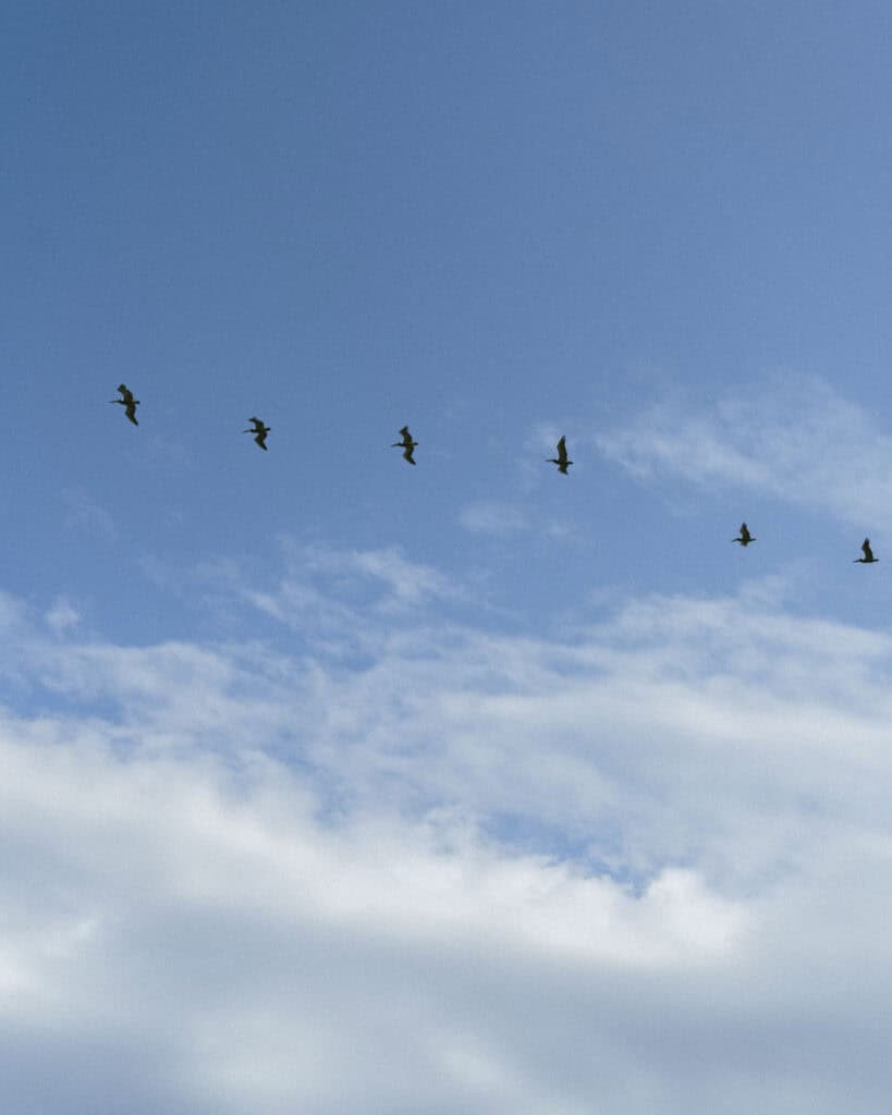 Popoyo, Nicaragua Travel Guide: Surf, Sand and Sunsets 26 A line of birds flying across the blue sky over Popoyo, Nicaragua, with wisps of white clouds.