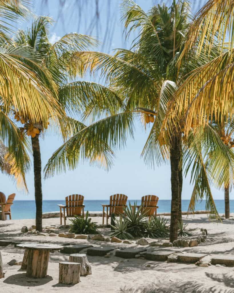 Popoyo, Nicaragua Travel Guide: Surf, Sand and Sunsets 33 The outdoor seating area at The Happy Coconut, with three wooden adirondack chairs lined up under palm trees looking out towards the ocean.