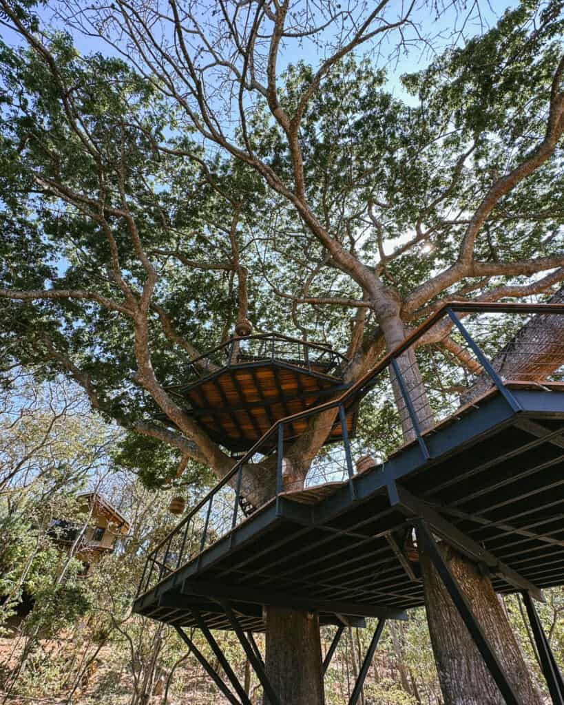 San Juan del Sur, Nicaragua Travel Guide: Worth the Hype? 25 A wooden treehouse nestled in the dense canopy of TreeCasa Resort, featuring intricate pathways and railings blending into nature.