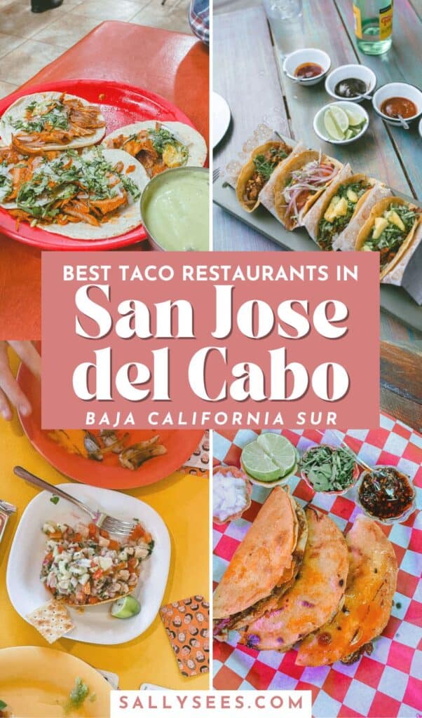 Where to Find the Best Tacos in San Jose del Cabo 25 Best tacos in San Jose del Cabo Pinterest pin
