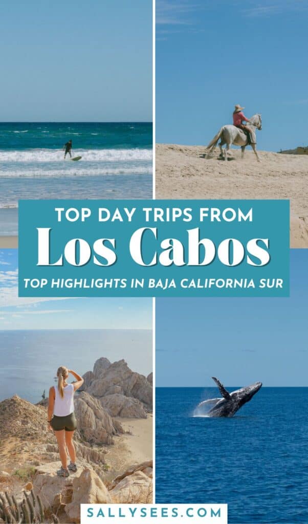 12 Amazing Cabo Day Trips to See More of Baja Sur 67 Top Day Trips from Los Cabos Pinterest Pin