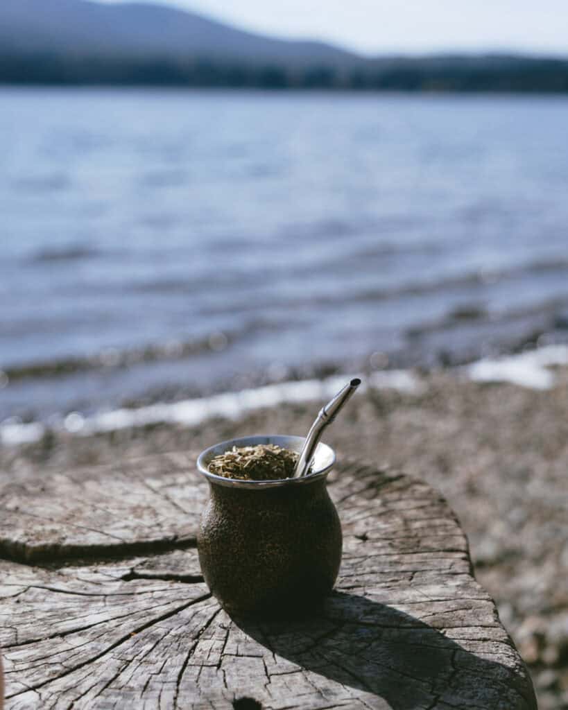 Buenos Aires Food Tour: Sherpa Food Tours in San Telmo 17 Traditional Argentine mate cup with bombilla sits on a weathered tree stump on the lakeshore in Bariloche, with rippling water in the background.