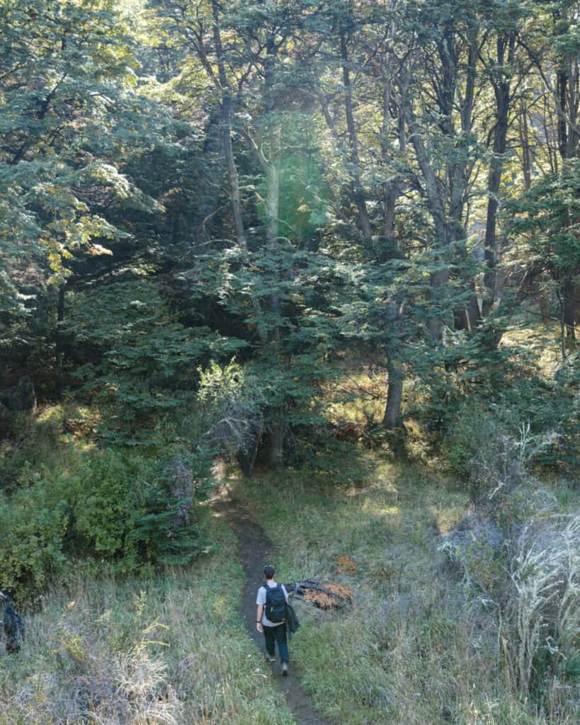 Tamango Sector Guide: Parque Nacional Patagonia, Chile 15 Brayden hikes a narrow forest trail surrounded by tall, leafy trees and dappled sunlight in the Sendero Carpinteros trail, Parque Nacional Patagonia, near Cochrane, Chile