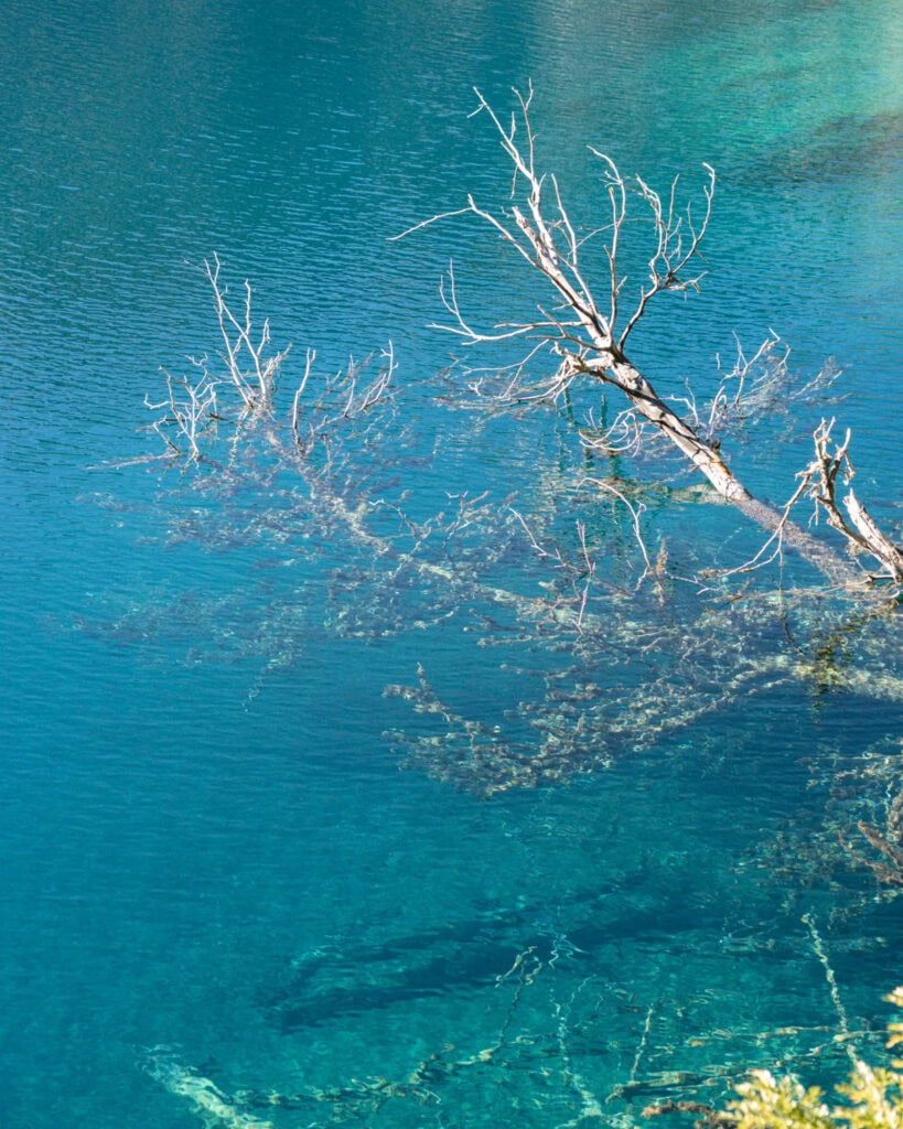 Tamango Sector Guide: Parque Nacional Patagonia, Chile 17 Submerged dry tree branches visible through the strikingly clear turquoise water of Lago Cochrane near Cochrane, Chile