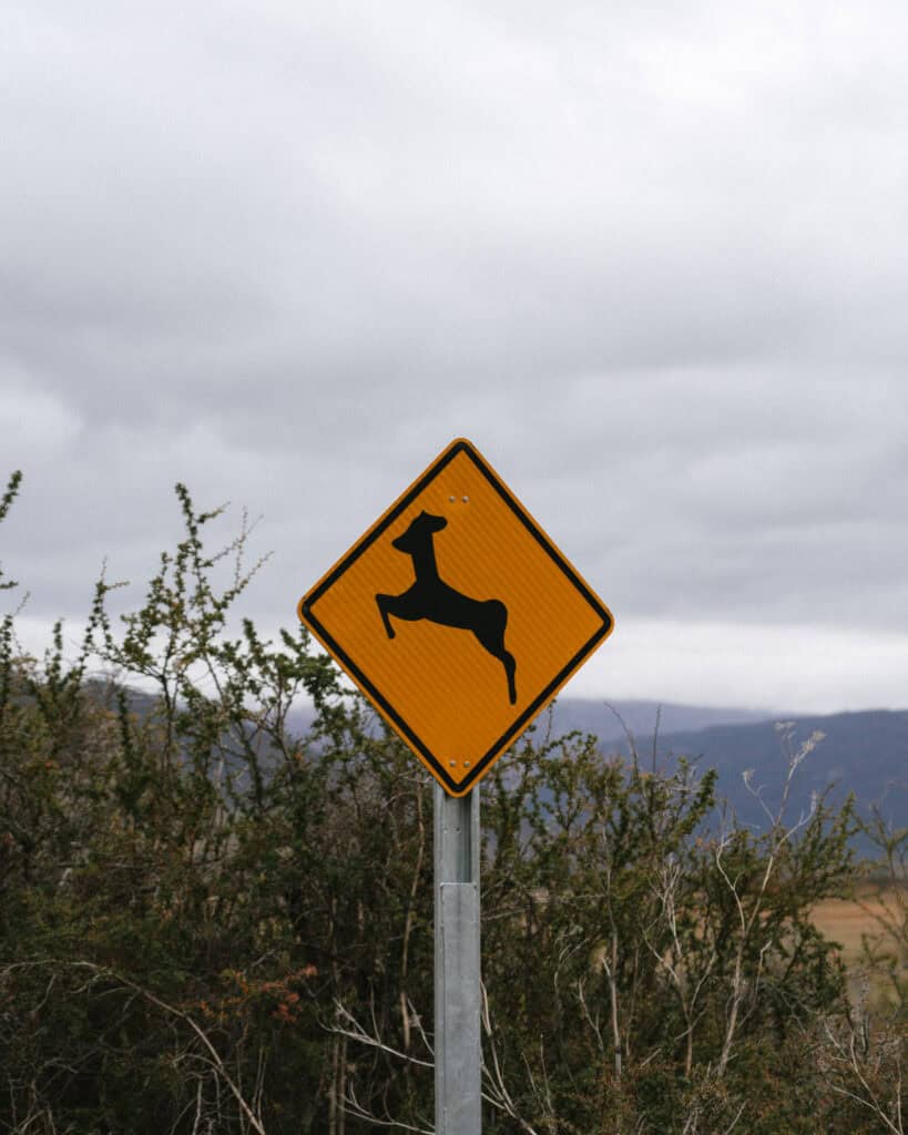 Valle Chacabuco Sector Guide: Parque Nacional Patagonia, Chile 12 Yellow diamond-shaped road sign warning of deer crossing, standing on a metal post with shrubland and cloudy skies in the background, located in Sector Valle Chacabuco along the Carretera Austral in Chile’s Parque Nacional Patagonia