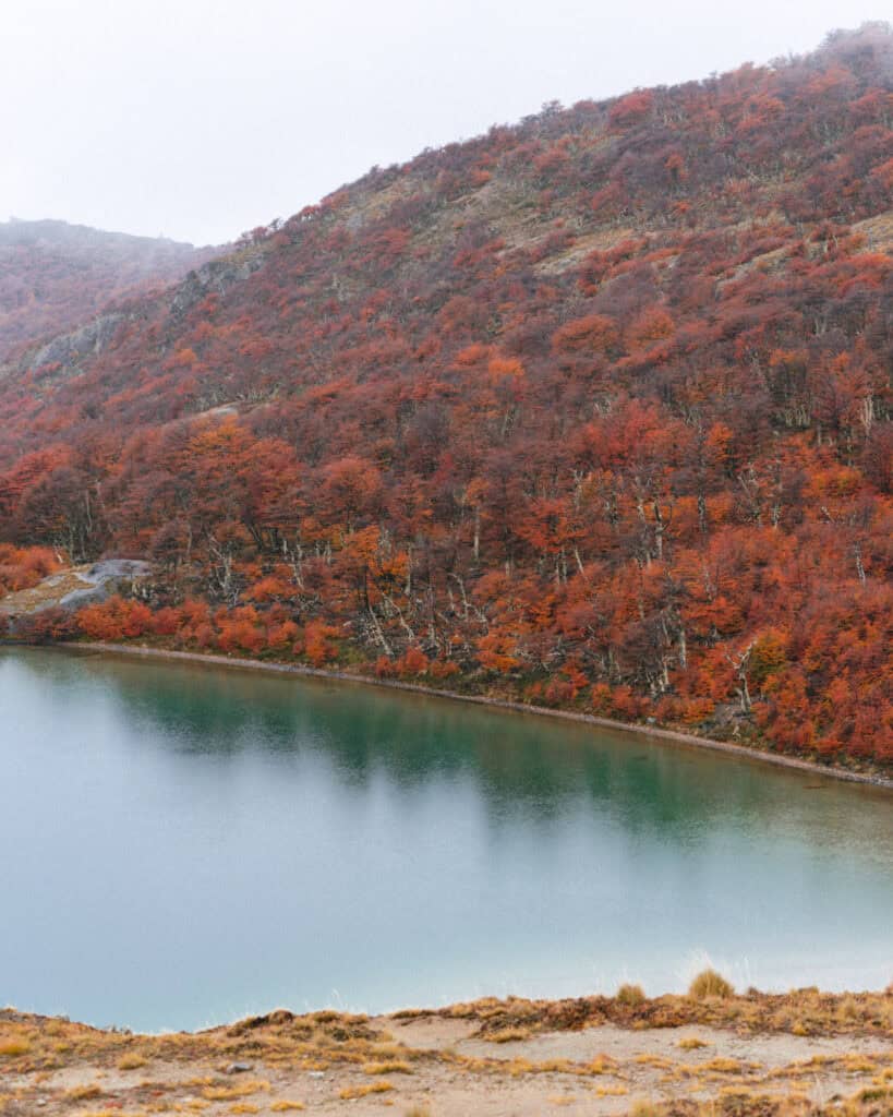 Valle Chacabuco Sector Guide: Parque Nacional Patagonia, Chile 32 A calm, turquoise lake bordered by red autumn forest and steep hills in the highlands of Sendero Lagunas Altas, Patagonia