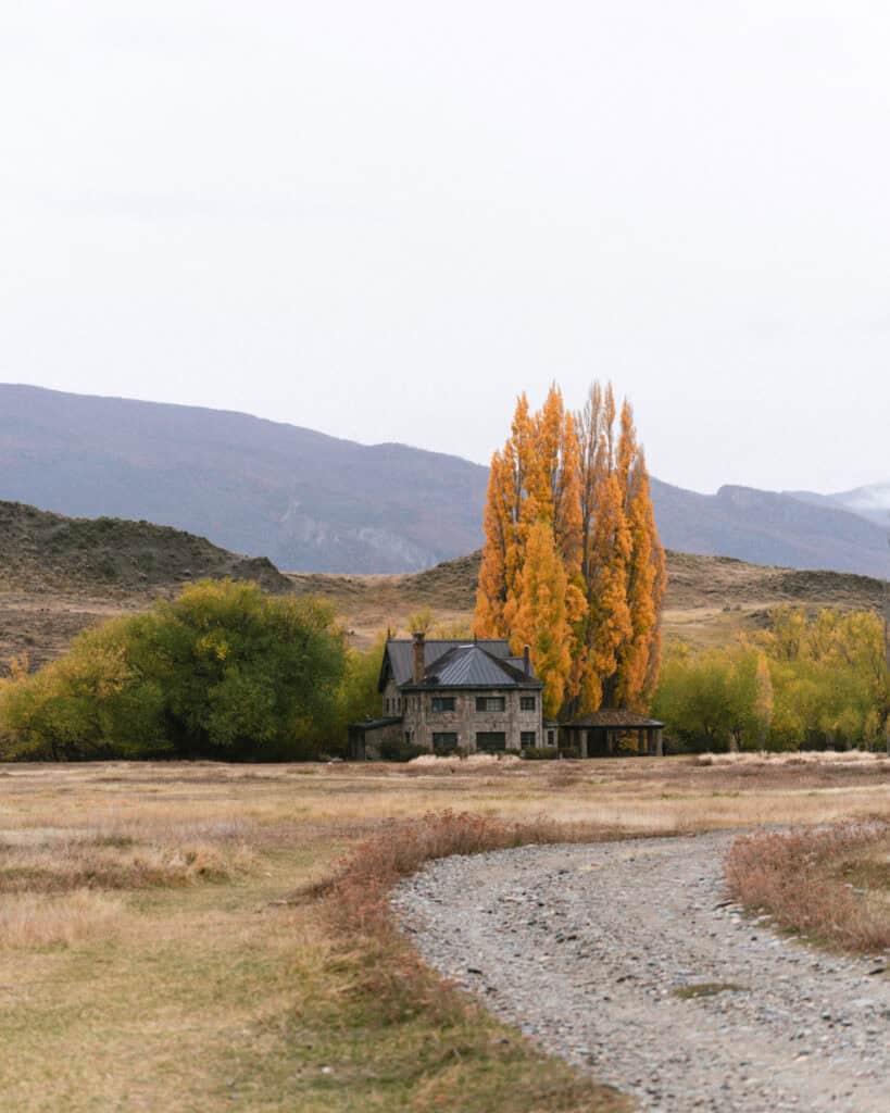 Valle Chacabuco Sector Guide: Parque Nacional Patagonia, Chile 17 A historic stone building framed by tall, golden poplars stands in an open field, representing the visitor center of Parque Nacional Patagonia