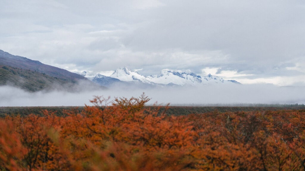 The Carretera Austral, Chile: Everything You Need to Know 76 A panoramic shot of the Andes’ snow-covered summits behind a wide field of red-orange lenga trees and rolling fog in Puerto Río Tranquilo, Chile