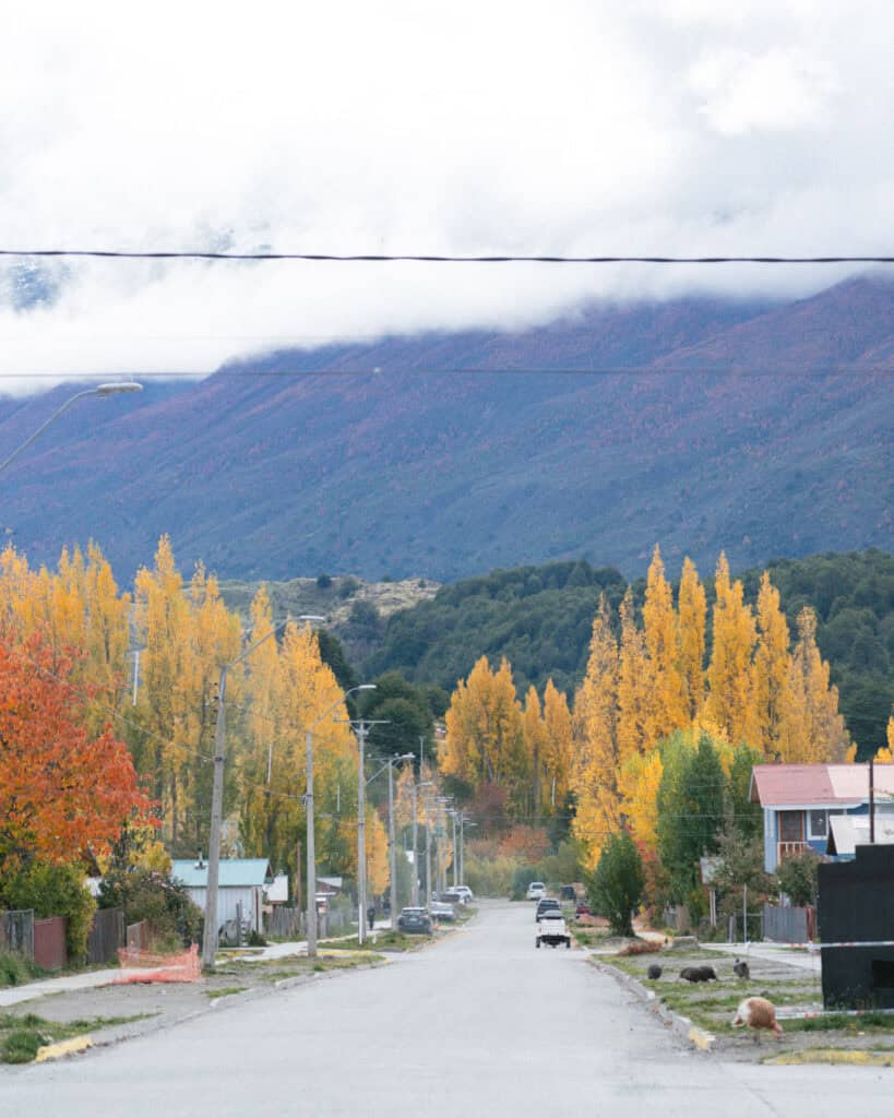 Puerto Rio Tranquilo, Chile Travel Guide: Marble & Ice 31 A quiet street in Puerto Río Tranquilo is framed by vibrant autumn trees in yellow and red, with mist-covered mountains in the background and a few dogs and cars visible along the roadside