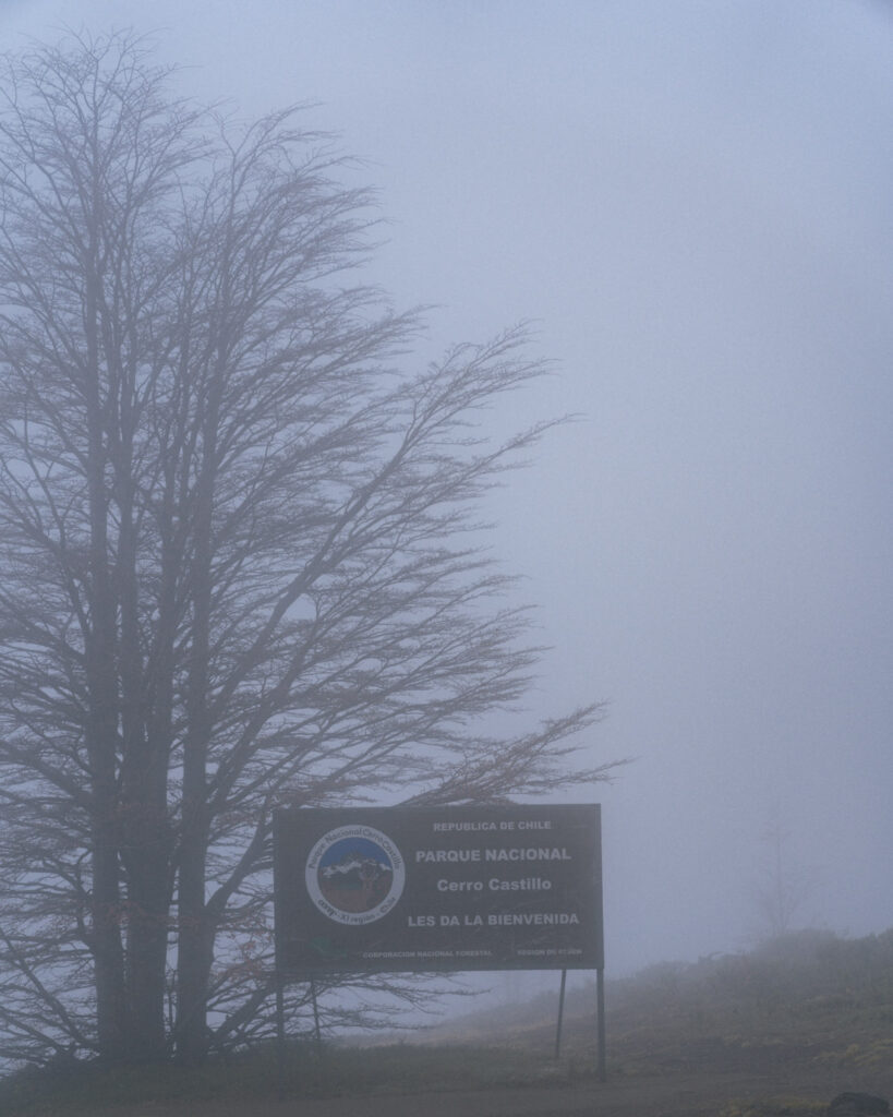 Villa Cerro Castillo, Chile Travel Guide: Hiking & Huemuls 12 A mist-covered welcome sign at the entrance to Parque Nacional Cerro Castillo stands beside a bare tree, partially obscured by thick fog in southern Chile