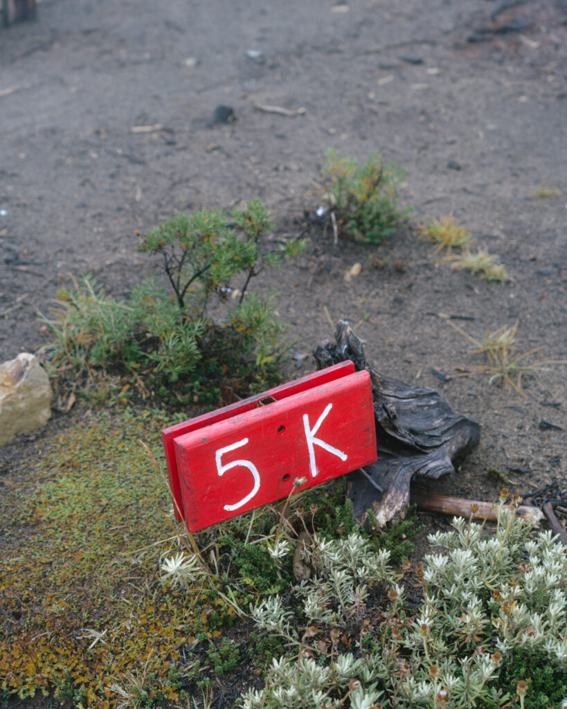 Villa Cerro Castillo, Chile Travel Guide: Hiking & Huemuls 16 A small red wooden trail marker reading "5 K" lies on the ground in Villa Cerro Castillo National Park, surrounded by moss, native plants, and dirt path