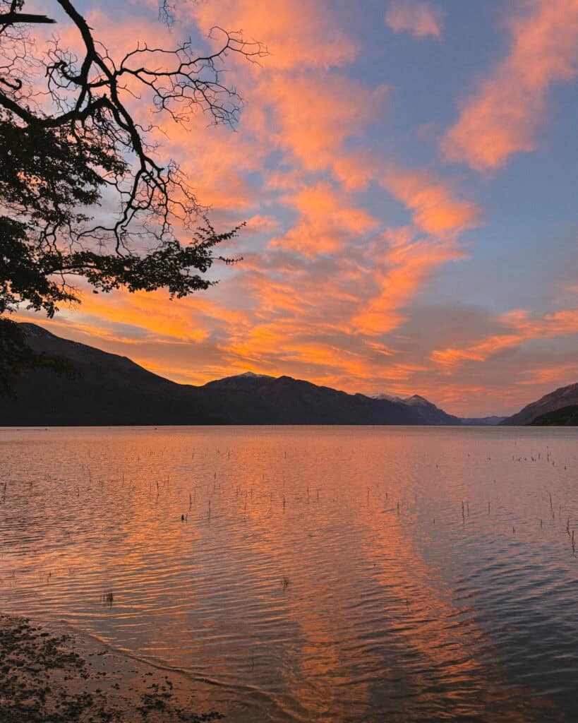 Villa O'Higgins, Chile Guide: End of the Carretera Austral 2 Warm-toned sunrise over Lago O’Higgins with rippling water and dramatic cloud formations reflecting in the lake, framed by a tree branch in the foreground