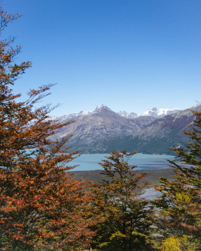 Villa O'Higgins, Chile Guide: End of the Carretera Austral 21 View from Mirador La Bandera showing turquoise lake waters surrounded by autumn-colored trees, with rugged mountains and snow-covered peaks in the distance