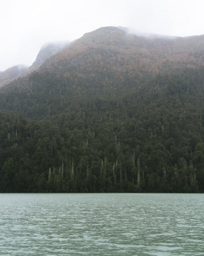 Cruce Andino: The Scenic Route From Chile to Argentina 26 A cloudy view of Lago Frías with soft ripples on the green-hued water and forested, fog-draped mountains stretching across the horizon