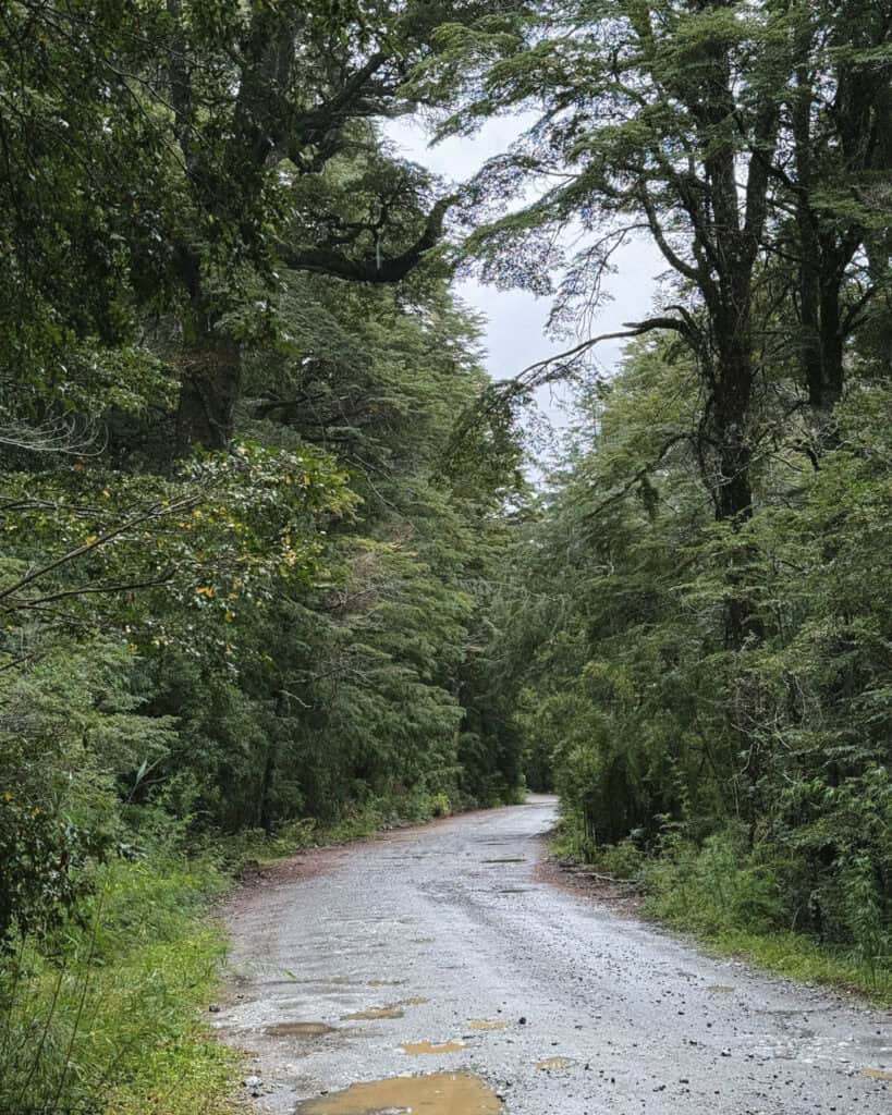 Cruce Andino: The Scenic Route From Chile to Argentina 28 A muddy gravel road winds through dense, green forest under a cloudy sky, marking a remote segment of the Cruce Andino land crossing