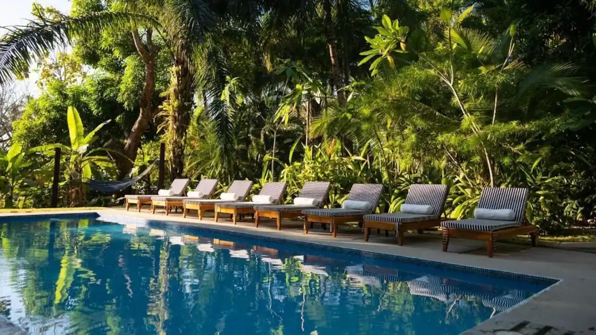 15 Best Things to Do in Montezuma Costa Rica 33 A side angle shot of a swimming pool at Nya Hotel in Montezuma Costa Rica. There is a row of wooden sun loungers with white cushions lined up in front of the pool, with a backdrop of palm trees and tropical forest.