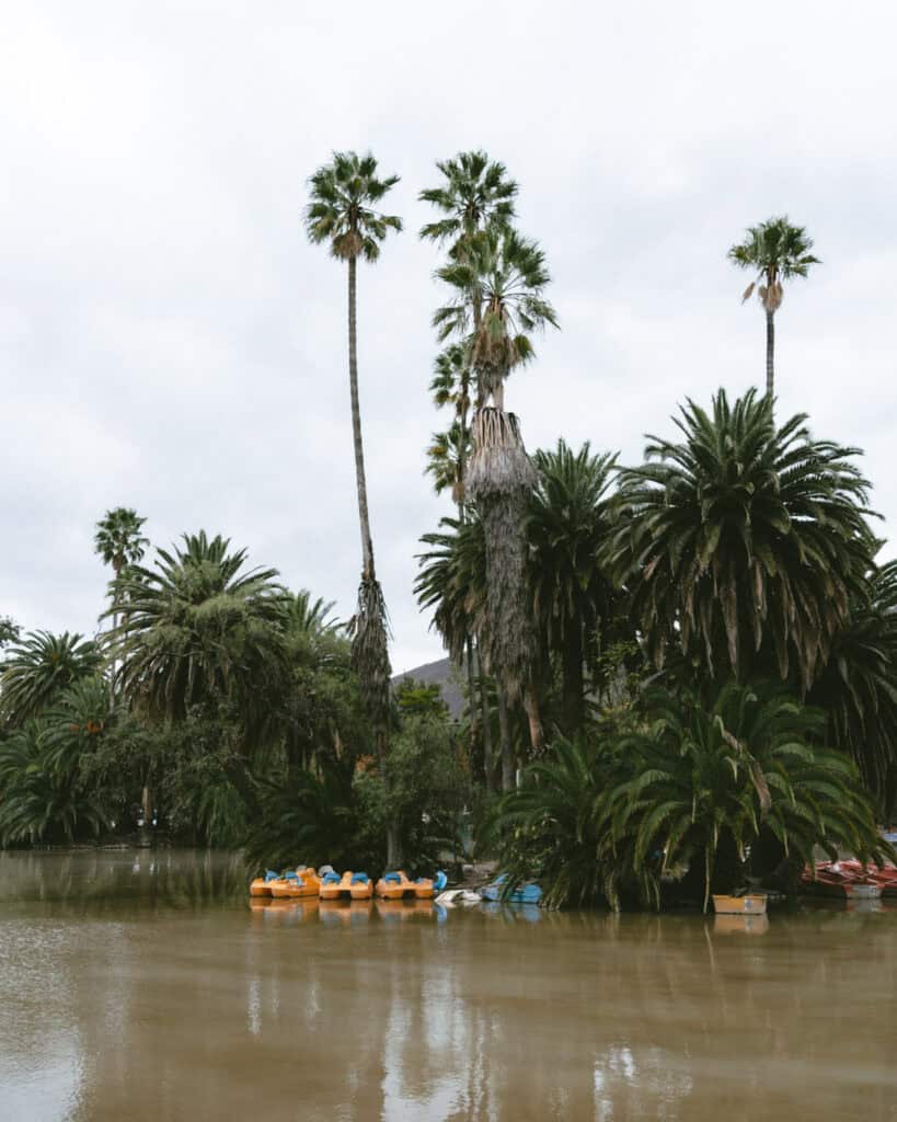 7 - 10 Day Salta Road Trip: The Best of Northwest Argentina 12 Cluster of yellow and blue paddle boats docked at the edge of the lagoon in Parque San Martín, surrounded by dense palm trees and reflecting cloudy skies on the water.
