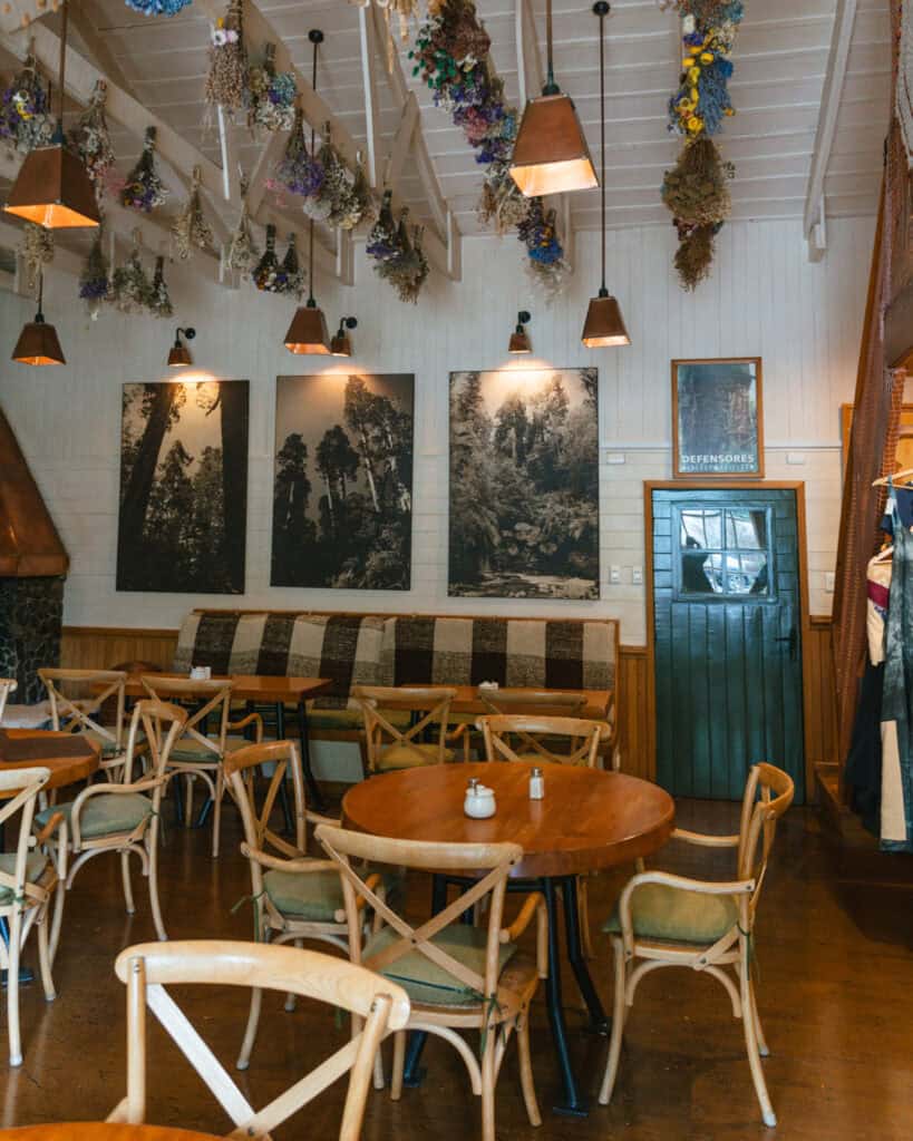 Chaiten, Chile Travel Guide: A Town That Nearly Disappeared 31 Cozy café interior in Chaitén with wooden tables and chairs, dried flowers hanging from the ceiling, and black-and-white forest photographs on the wall.