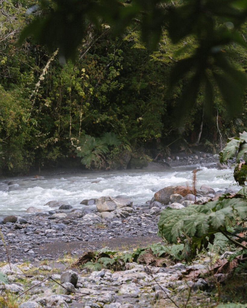Ventisquero Yelcho Hike Guide: Corcovado National Park, Chile 16 Fast-moving river with foamy water winding through a dense forest in Chaitén, bordered by rocks and lush vegetation.