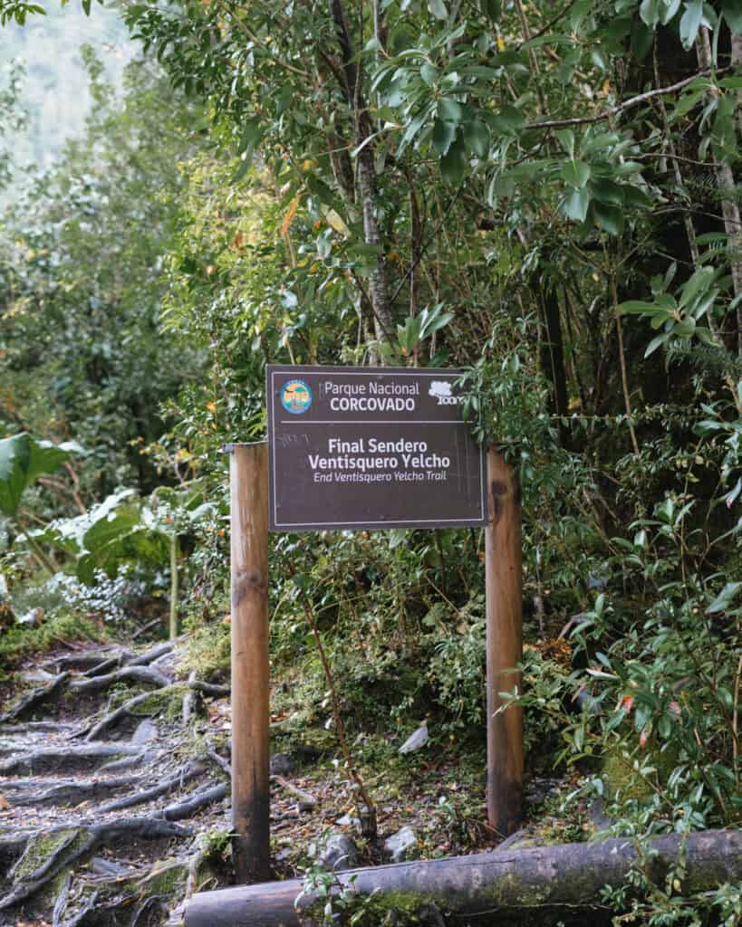 Ventisquero Yelcho Hike Guide: Corcovado National Park, Chile 5 Wooden sign marking the end of the Ventisquero Yelcho Trail in Parque Nacional Corcovado, surrounded by dense greenery and exposed tree roots.