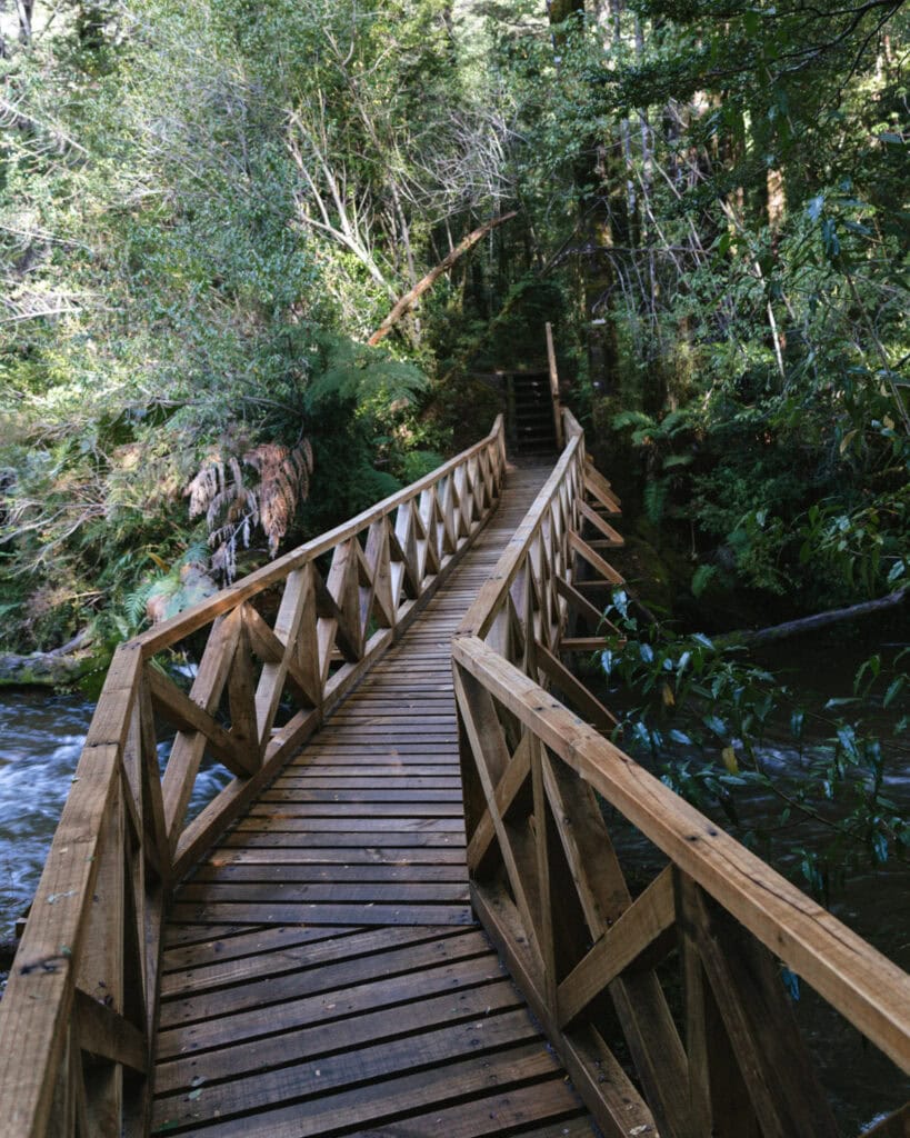 How to Visit the Pumalin National Park in Patagonia, Chile 39 Narrow wooden bridge with crisscross railing spans a flowing stream in the middle of a dense green forest in Chaitén.