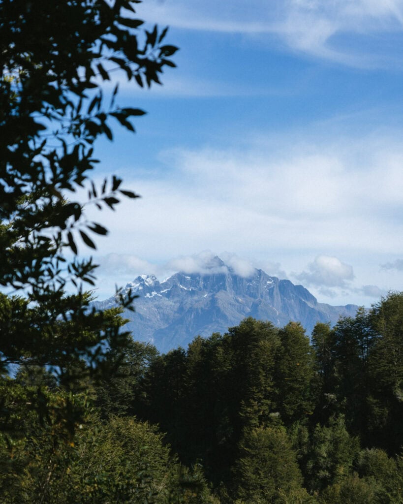 How to Visit the Pumalin National Park in Patagonia, Chile 42 Snow-dusted rocky mountain peak rises in the distance beyond a sea of forest, framed by leafy tree branches in the foreground.