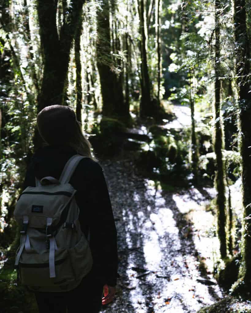 How to Visit the Pumalin National Park in Patagonia, Chile 1 Sally stands on a shadowed forest path with patches of sunlight, surrounded by towering mossy trees and dense greenery.