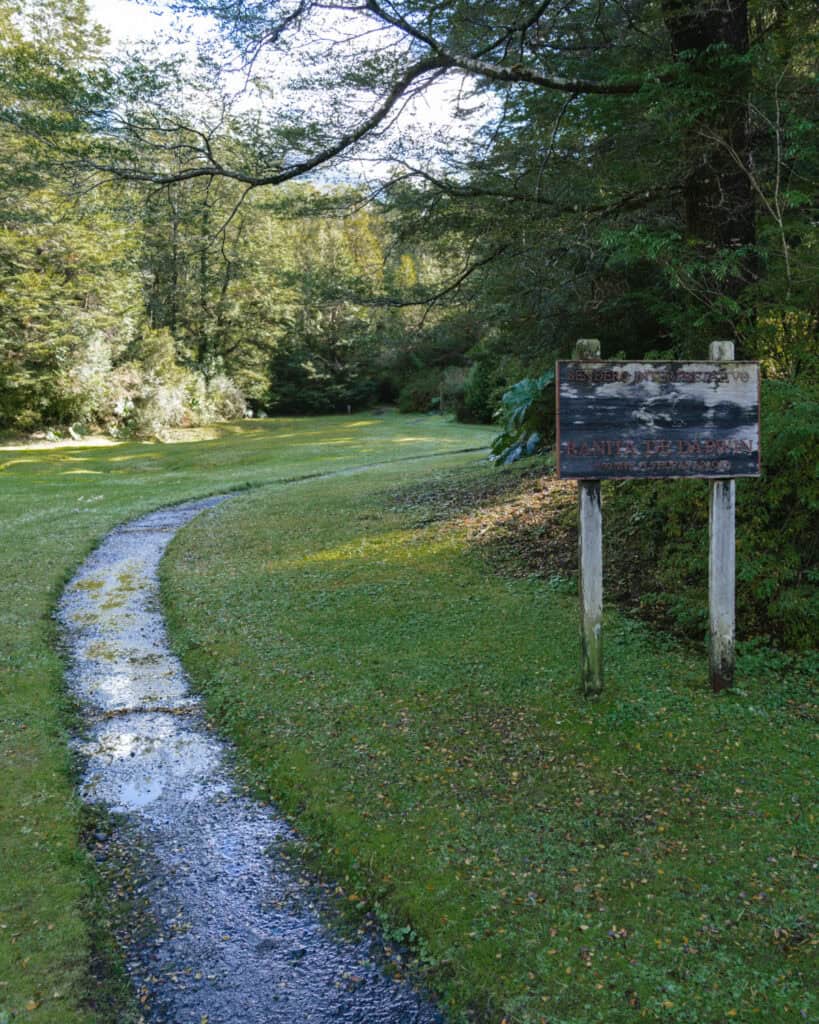 How to Visit the Pumalin National Park in Patagonia, Chile 37 Wooden trail sign reading “Ranita de Darwin” stands next to a narrow, muddy footpath leading into a forest clearing.