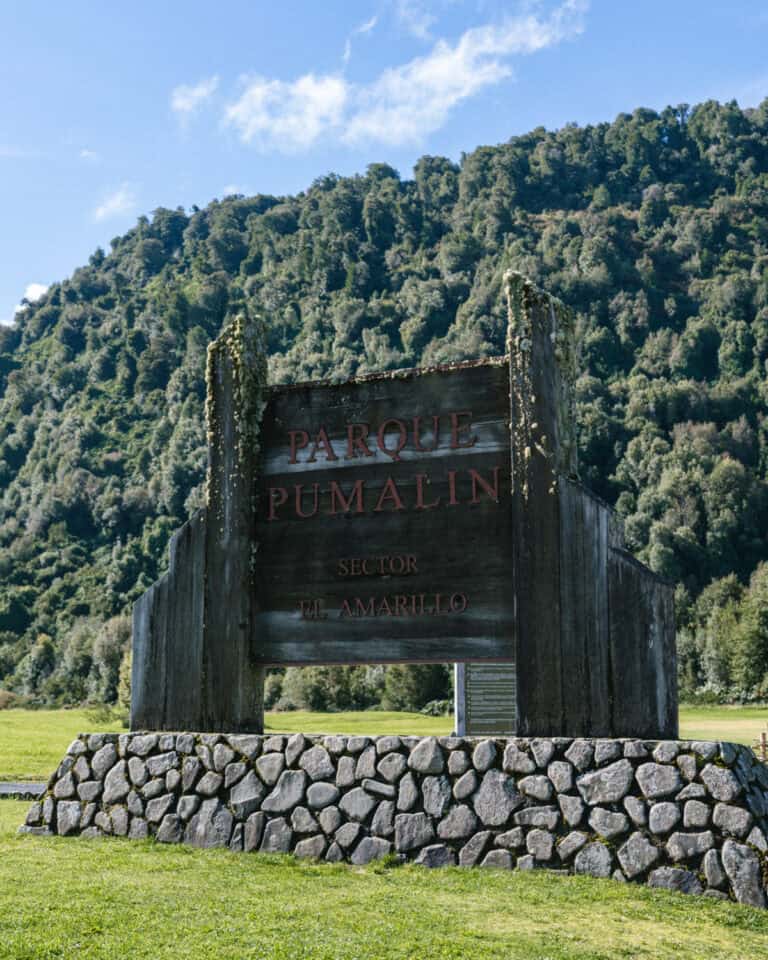 How to Visit the Pumalin National Park in Patagonia, Chile
