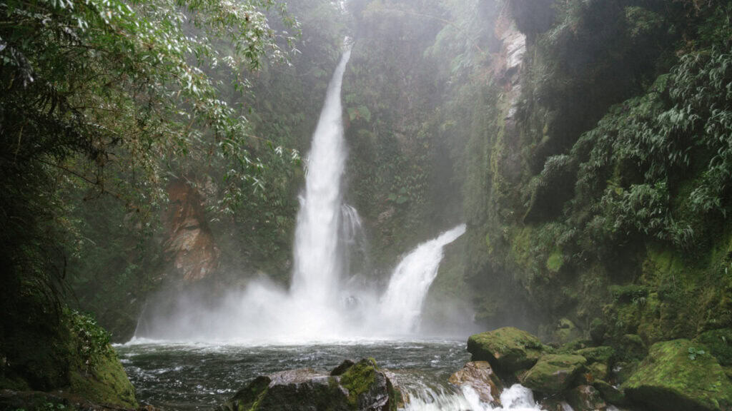 How to Visit the Pumalin National Park in Patagonia, Chile 27 Wide-angle shot of tall dual waterfalls plunging into a forested canyon, with surrounding mossy cliffs and mist in the air.