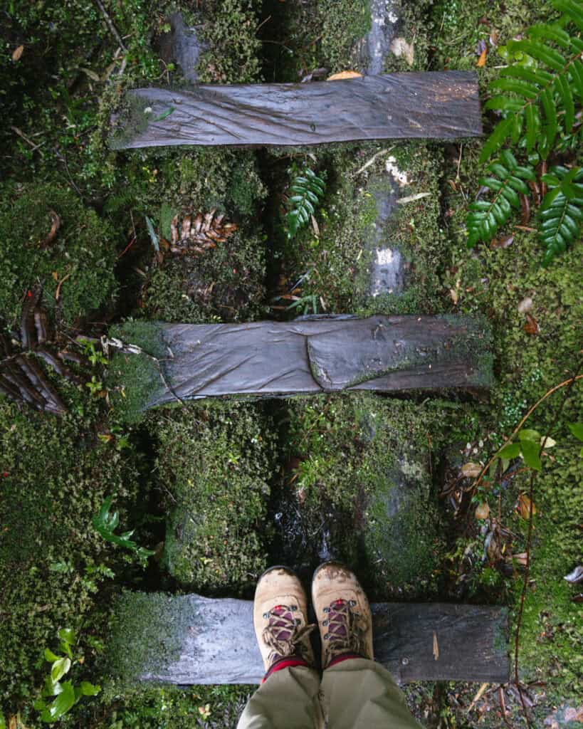 How to Visit the Pumalin National Park in Patagonia, Chile 5 View looking down at muddy hiking boots standing on mossy, wet wooden planks along a rainforest trail.