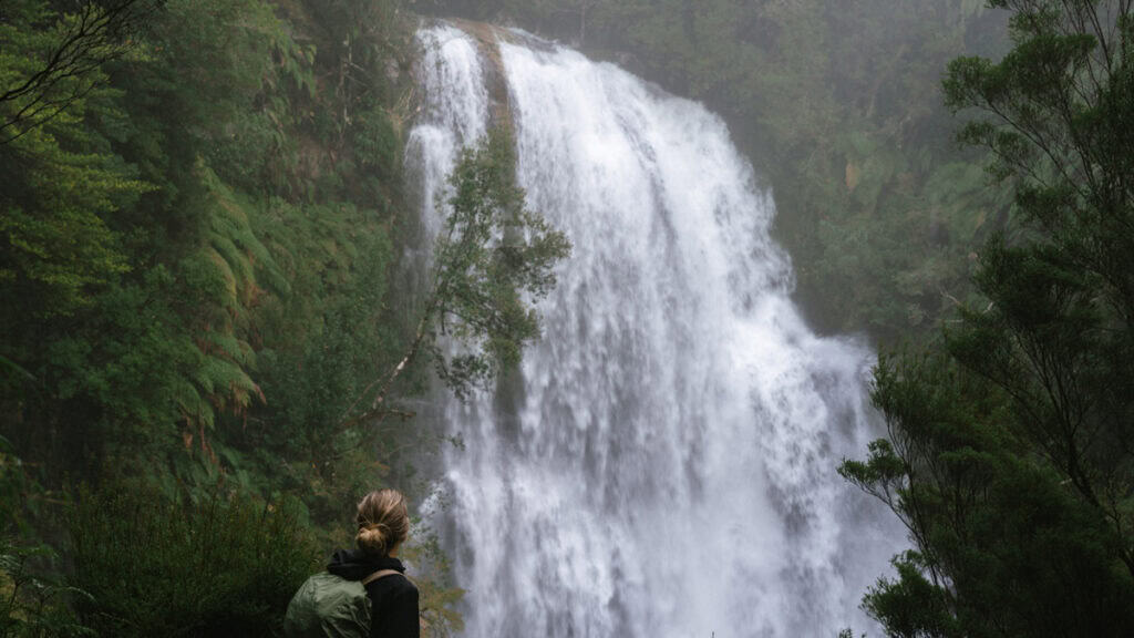 How to Visit the Pumalin National Park in Patagonia, Chile 4 Panoramic view of Sally standing at a lookout facing a broad, mist-covered waterfall in dense forest.
