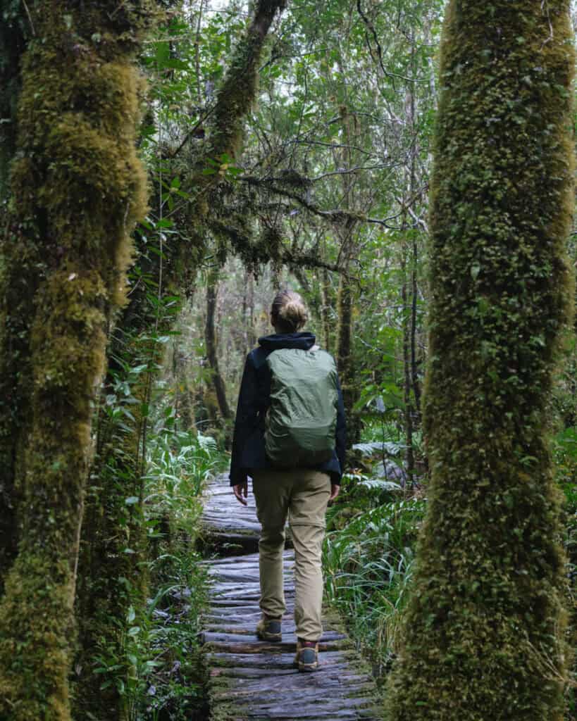 Chaiten, Chile Travel Guide: A Town That Nearly Disappeared 16 Sally wearing a hiking gear and a green pack walks on a raised wooden boardwalk winding through a green, mossy forest.
