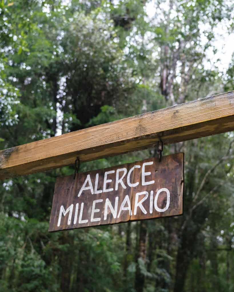 Hornopiren, Chile Travel Guide: Termas, Alerces & Fjords 27 Close-up of the “Alerce Milenario” sign hanging from a wooden beam, marking the ancient tree trail in Hornopirén, Chile.