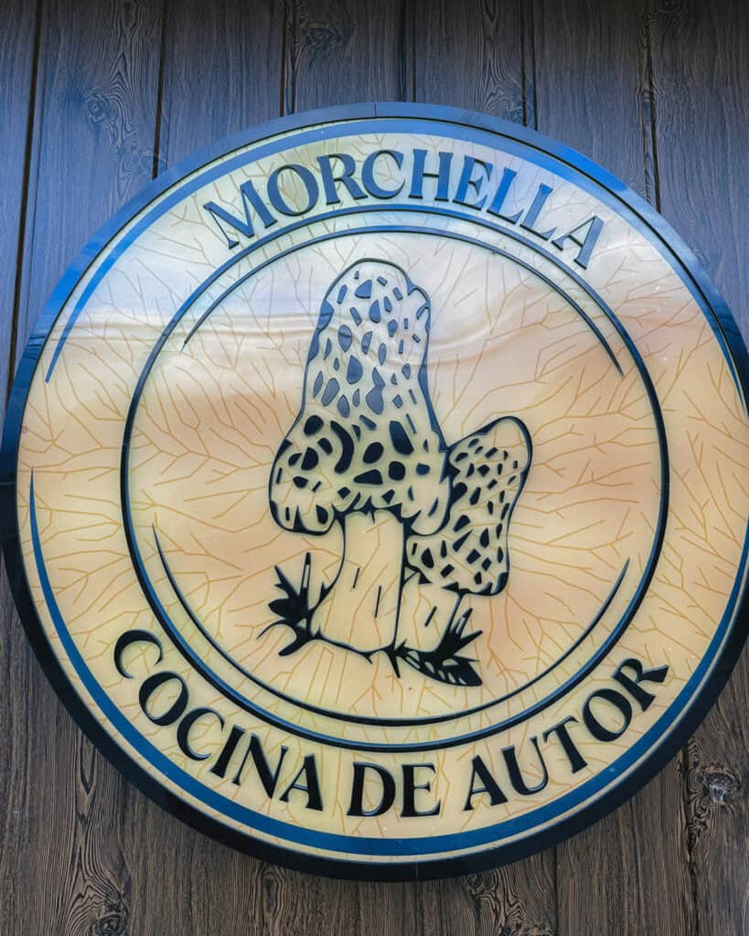 Hornopiren, Chile Travel Guide: Termas, Alerces & Fjords 31 Restaurant sign for “Morchella Cocina de Autor” in Hornopirén, Chile, featuring a drawing of morel mushrooms.