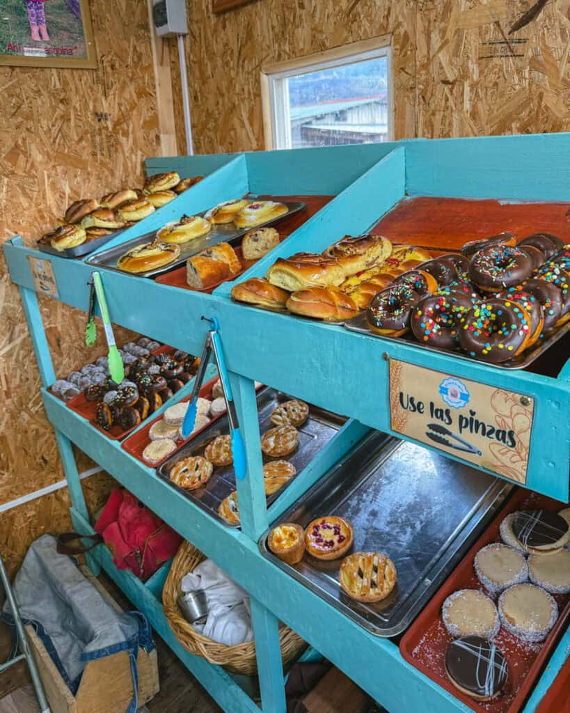 Hornopiren, Chile Travel Guide: Termas, Alerces & Fjords 34 Display of pastries, breads, and chocolate-covered donuts with sprinkles in a small bakery in Hornopirén, Chile.