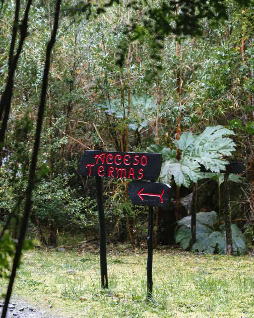 Hornopiren, Chile Travel Guide: Termas, Alerces & Fjords 11 Hand-painted wooden sign reading “Acceso Termas” with an arrow pointing left, surrounded by lush vegetation in Hornopirén, Chile.