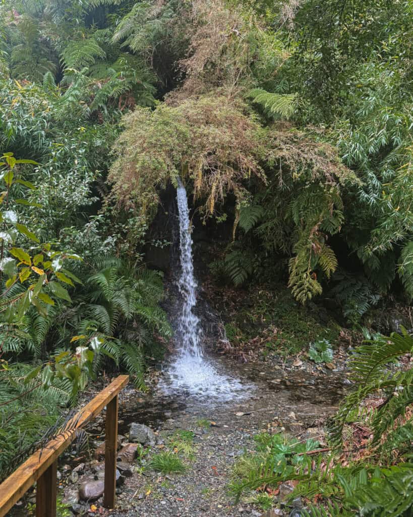 Hornopiren, Chile Travel Guide: Termas, Alerces & Fjords 25 Small waterfall cascading from dense greenery into a rocky stream, surrounded by ferns and moss, with a wooden handrail on the side in Hornopirén, Chile.