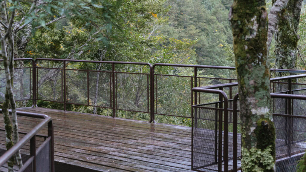 Queulat National Park: How to Visit the Ventisquero Colgante 11 Wooden and metal viewing platform surrounded by green forest, offering a lookout toward the Hanging Glacier in Parque Nacional Queulat, Chile.