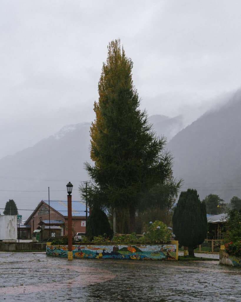 Puyuhuapi, Chile Travel Guide: Fjords and Hanging Glaciers 19 Town square in Puyuhuapi, Chile, with a tall tree, colorful mosaic planter, and misty mountains in the background on a rainy day.