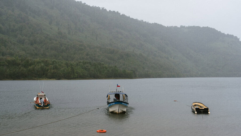 Puyuhuapi, Chile Travel Guide: Fjords and Hanging Glaciers 4 Fishing boats moored in the bay of Puyuhuapi, Chile, with forested hills rising steeply behind them on a foggy afternoon.